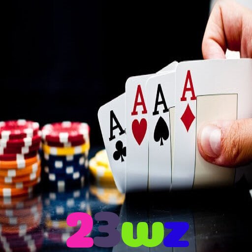 23wz