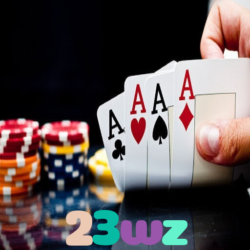 23wz