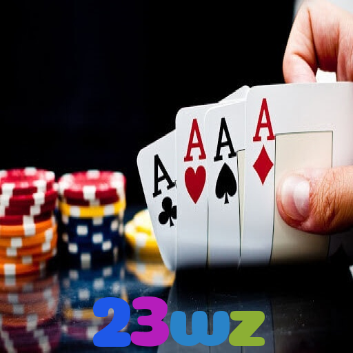 23wz