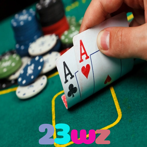 23wz