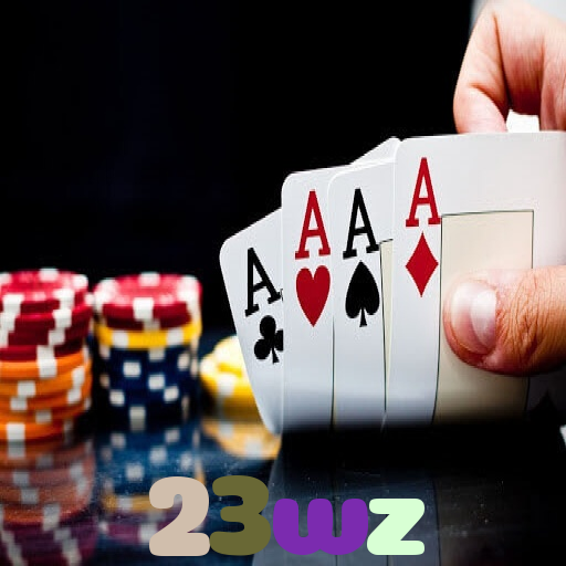 23wz