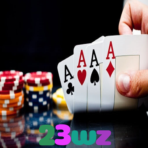 23wz