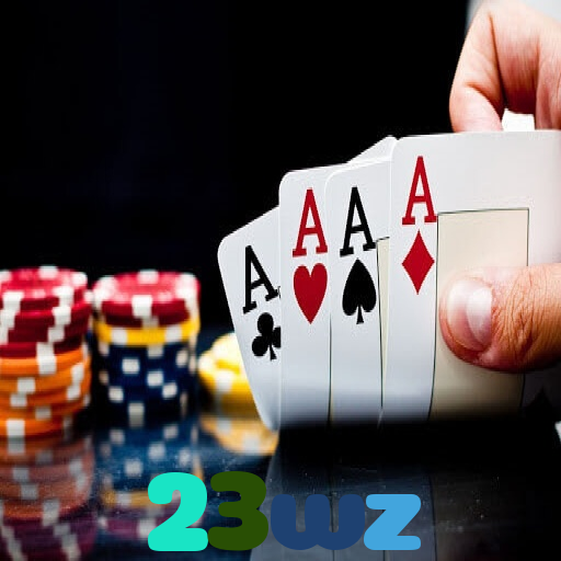 23wz
