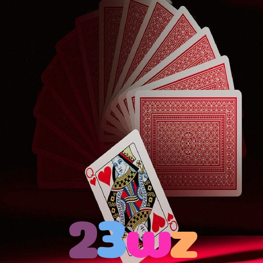 23wz