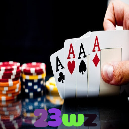 23wz