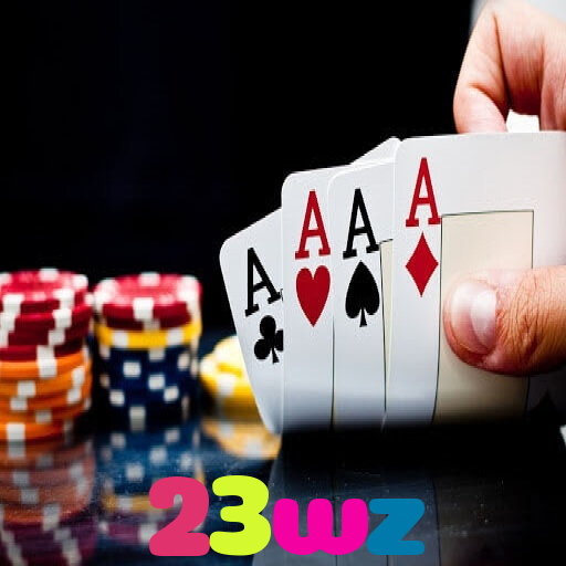 23wz