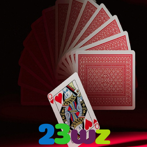 23wz
